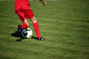 华体会官网活动-联盟球员平均跑动距离排行榜，五大联赛球员平均跑动距离  第2张