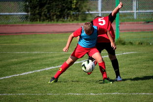 华体会官网活动-联盟球员平均跑动距离排行榜，五大联赛球员平均跑动距离  第3张